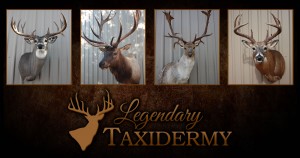 Legendary Taxidermy OG